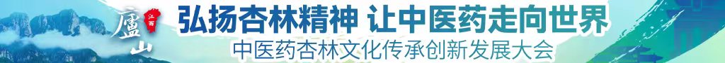 大鸡吧操老女人中医药杏林文化传承创新发展大会